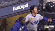 Home Run Baseball GIF by MLB