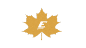 fall leaf Sticker by Eastern Kentucky University