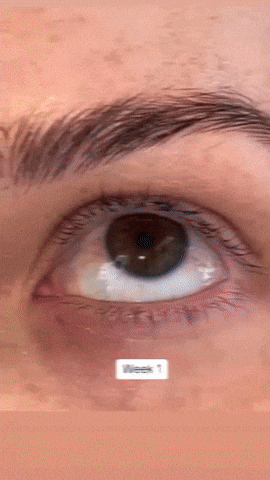 crshdprod giphyupload GIF