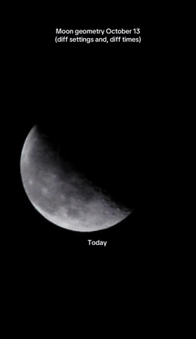 VeronicaInDream  GIF