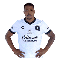 Liga Mx Gallos Sticker by Club Querétaro