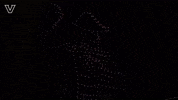 Sport Celebrate GIF by Vanderbilt Athletics