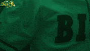 North Dakota State Bison GIF by NDSU Athletics