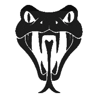 Fitness Snakebite Sticker by Snake Bite Fitness™