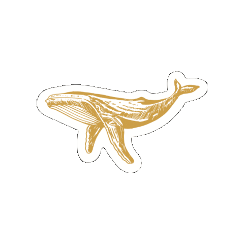 Sticker by Laura Malina Seiler