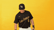Cal State La Sport GIF by Cal State LA Golden Eagles