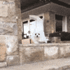 Video gif. White Pomeranian puppy boldly attempts to climb down the steps, which progressively goes downhill as it falls on its face on the first landing and then flips over the second step before literally exploding into flames.