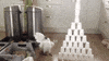 cockatoo GIF