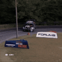 Japan Driving GIF by FIA World Rally Championship
