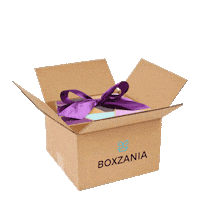 envios gift box Sticker by Boxzania