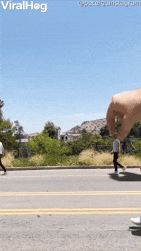 How Much Fun Can You Have With Walking
