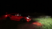 Cboys GIF