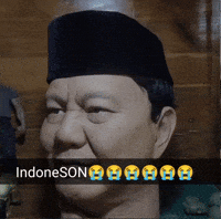 Indonesia Son GIF