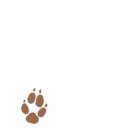 Fox Autumn Sticker