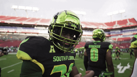 College Football GIF by USF Athletics