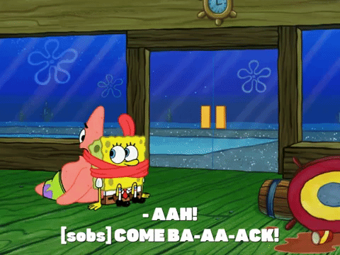 season 8 episode 10 GIF by SpongeBob SquarePants