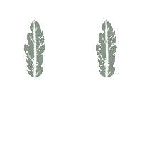 throughchristinaseyes nature trees christina feather Sticker