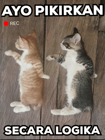 Se1Nherr GIF