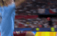 Champions League Football GIF by UEFA