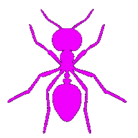 Fashion Week Sunglasses Sticker by Marcel Katz Dalí / The Art Plug