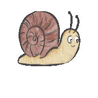 kitaweinbergschnecke weinbergschnecke kitaweinbergschnecke Sticker