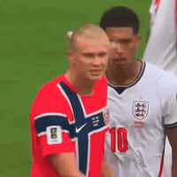 Bellingham GIF