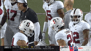 gostanford  GIF
