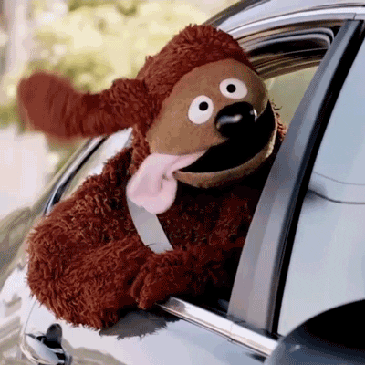 Rowlf The Dog GIF by Muppet Wiki