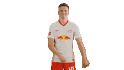 Dance Dancing Sticker by RB Leipzig