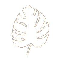 Plant Florida Sticker by Establish 37