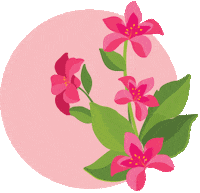 Summer Birthday Sticker by PRO-MIX Gardening