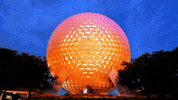 florida GIF
