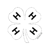 Sticker by 4-H