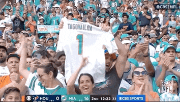 Miami Dolphins Football GIF by NFL