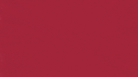 Charroslmb2025 GIF by Charros de Jalisco