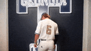 Georgia Tech Baseball GIF by Georgia Tech Yellow Jackets