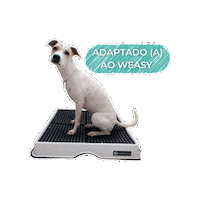 Sticker by Weasy