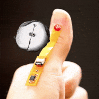 GIF by Alex Boya