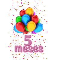 Festa 5 Meses Sticker