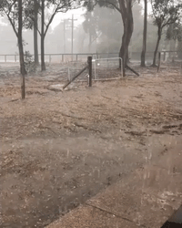 'Hallelujah!': Owners of Parched New South Wales Property Rejoice After Downpour
