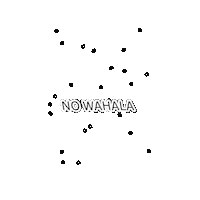 Nigeria Naija Sticker
