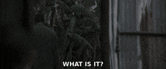 What Is It GIF