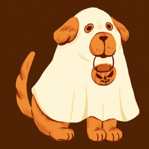 Trick Or Treat Halloween GIF