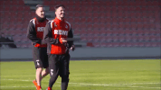 leo GIF by 1. FC Köln
