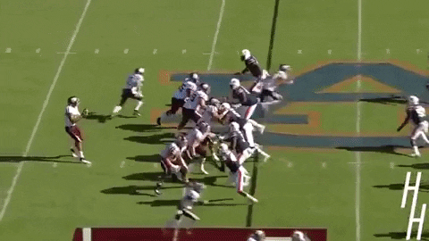 carolinefohrellsterritt giphygifmaker GIF