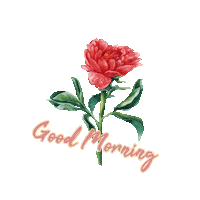 Happy Sunday Morning Sticker by Dafne Yasmin Alvarez Sanchez