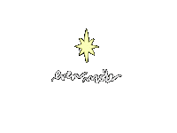 Christmas Star Sticker by Lane Of Roses