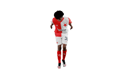 Football Soccer Sticker by SK Slavia Praha