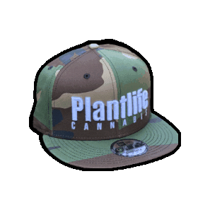 plantlifecannabis  Sticker