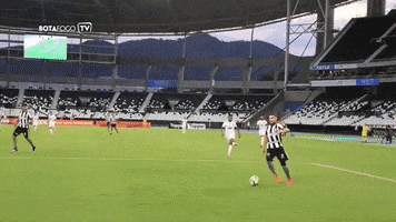 botafogo futebol e regatas GIF by Botafogo